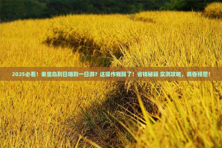 秦皇岛到西藏日喀则一日
