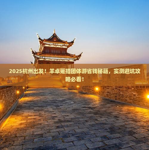 杭州去西藏羊卓雍措团体旅游