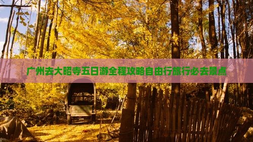 广州去西藏大昭寺五日游