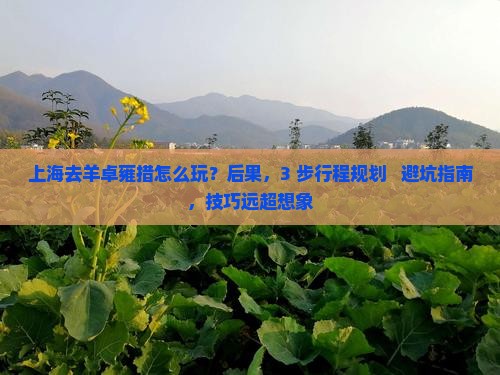 上海去西藏羊卓雍措哪里玩