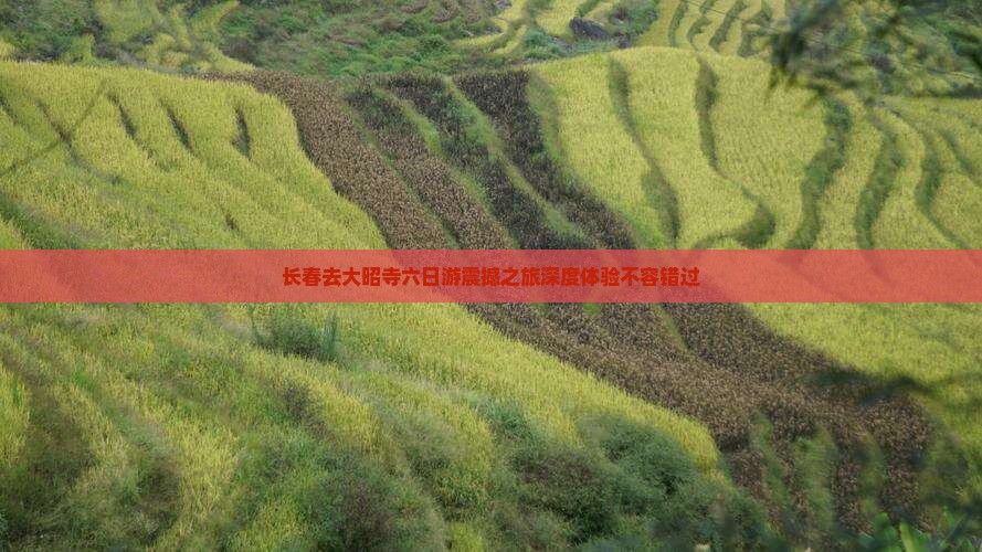 长春去西藏大昭寺六日游