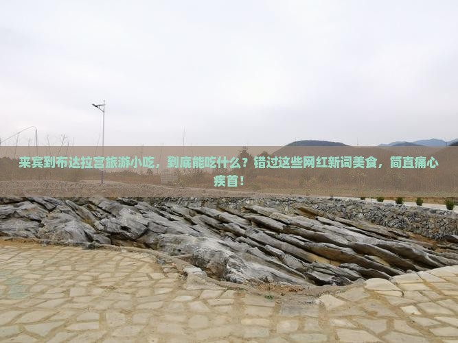 来宾到西藏布达拉宫旅游小吃