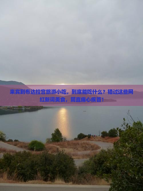 来宾到西藏布达拉宫旅游小吃