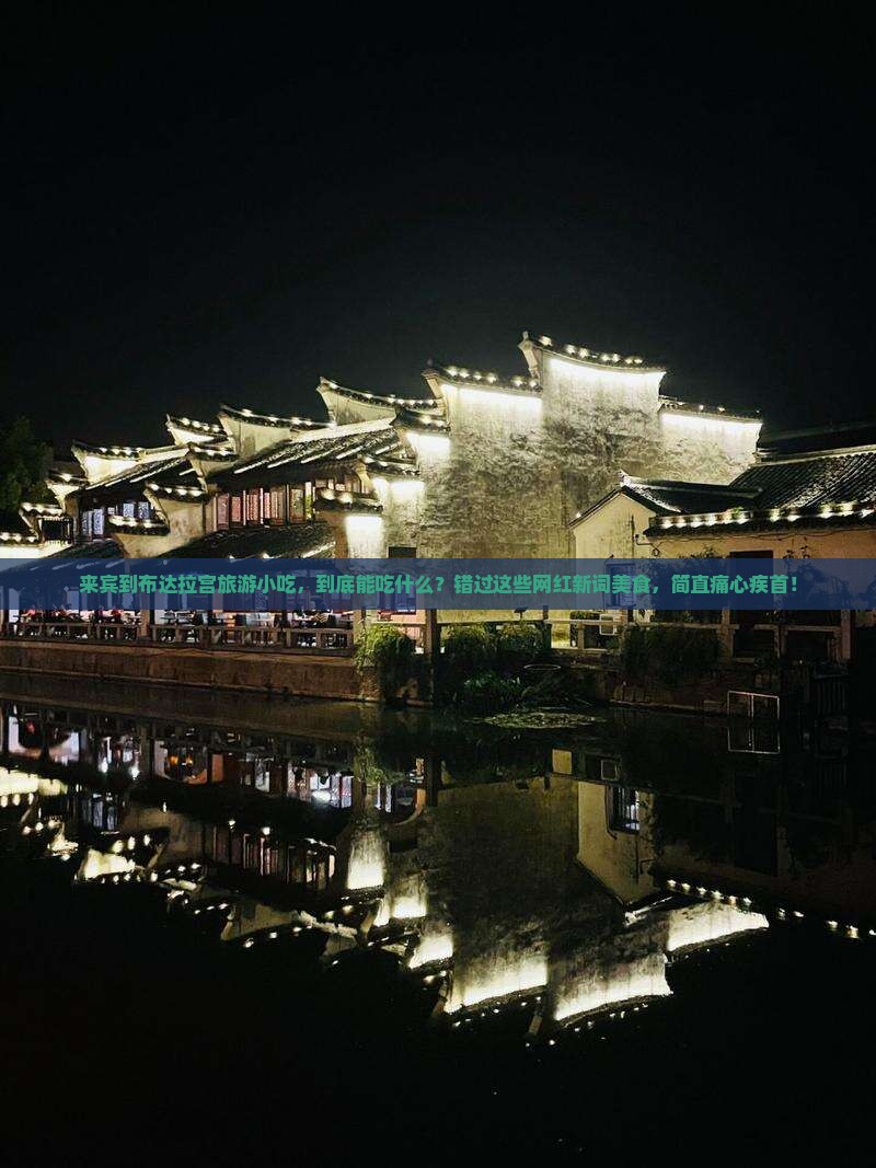 来宾到西藏布达拉宫旅游小吃