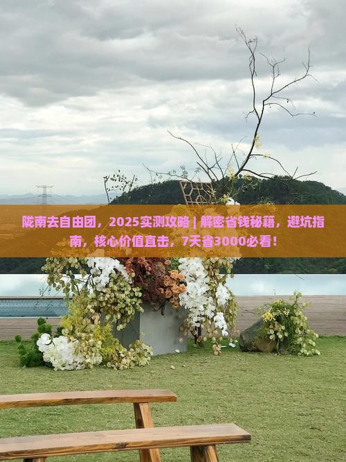 陇南去西藏自由团