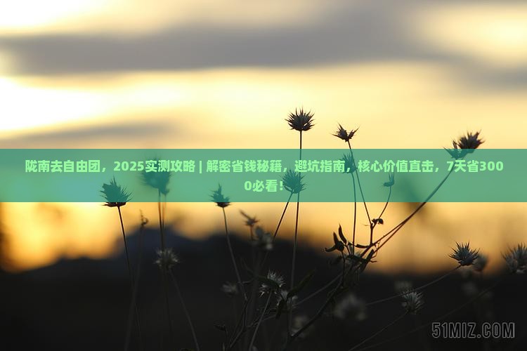 陇南去西藏自由团