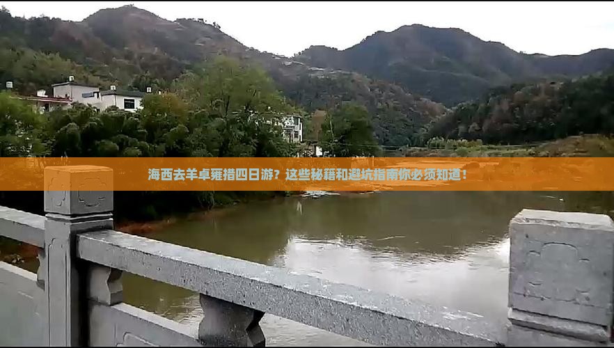 海西去西藏羊卓雍措四日游