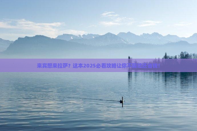 来宾到西藏拉萨旅游