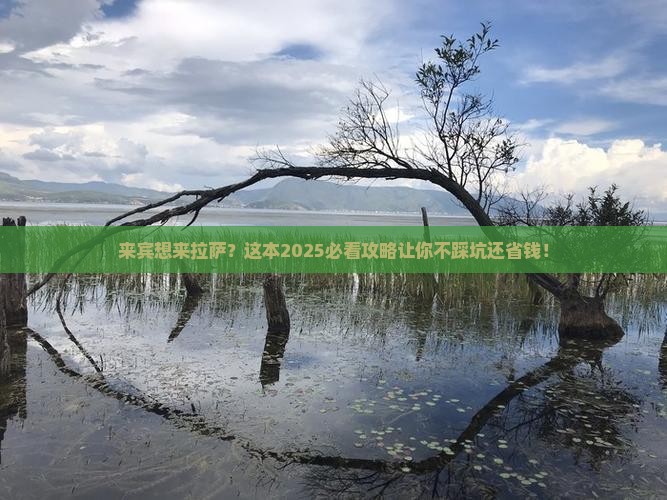 来宾到西藏拉萨旅游