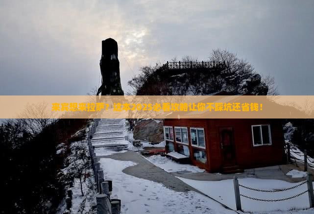 来宾到西藏拉萨旅游