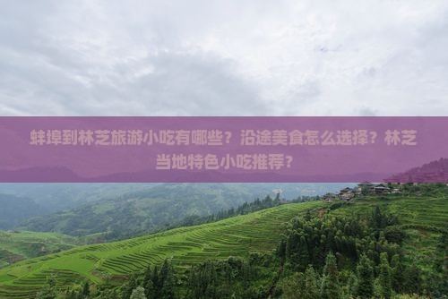 蚌埠到林芝旅游小吃有哪些？沿途美食怎么选择？林芝当地特色小吃推荐？