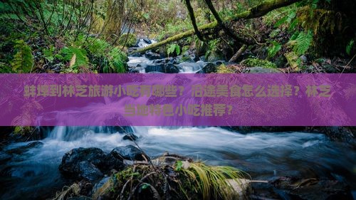 蚌埠到林芝旅游小吃有哪些？沿途美食怎么选择？林芝当地特色小吃推荐？