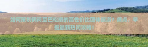 如何策划鹤岗至巴松措的高性价比团体旅游？痛点，掌握最新热词攻略！