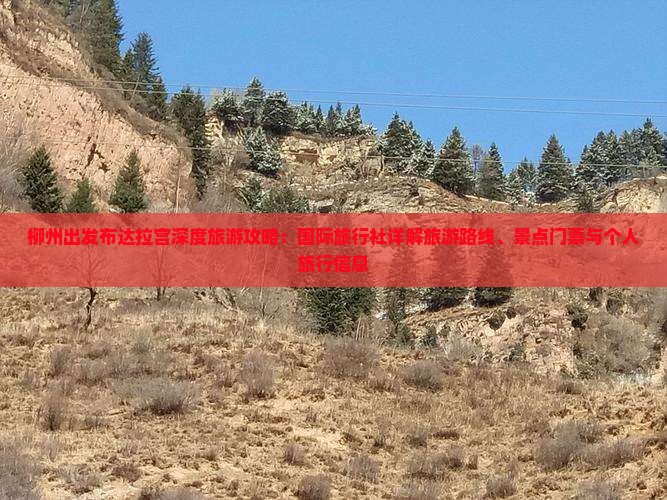 柳州出发布达拉宫深度旅游攻略：国际旅行社详解旅游路线、景点门票与个人旅行信息