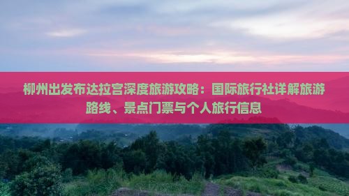 柳州出发布达拉宫深度旅游攻略：国际旅行社详解旅游路线、景点门票与个人旅行信息