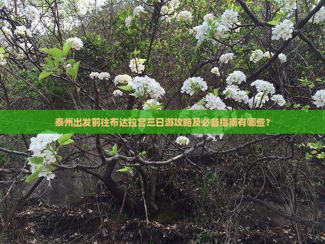 泰州出发前往布达拉宫三日游攻略及必备指南有哪些？