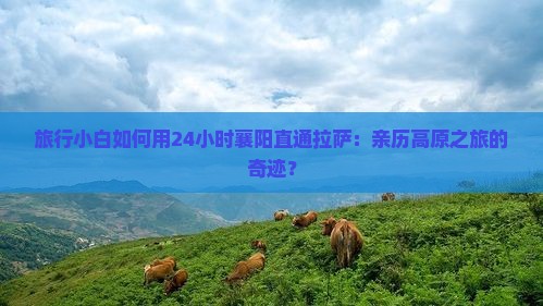 旅行小白如何用24小时襄阳直通拉萨：亲历高原之旅的奇迹？