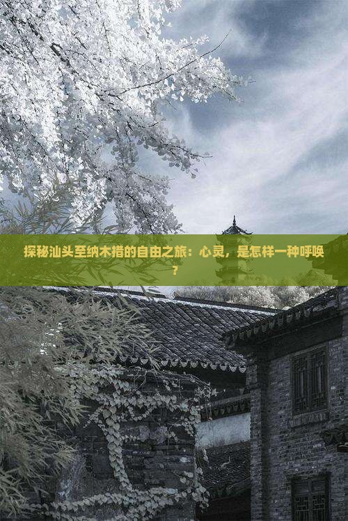 探秘汕头至纳木措的自由之旅：心灵，是怎样一种呼唤？