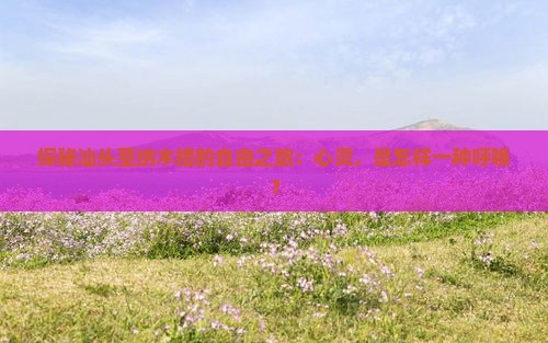 探秘汕头至纳木措的自由之旅：心灵，是怎样一种呼唤？