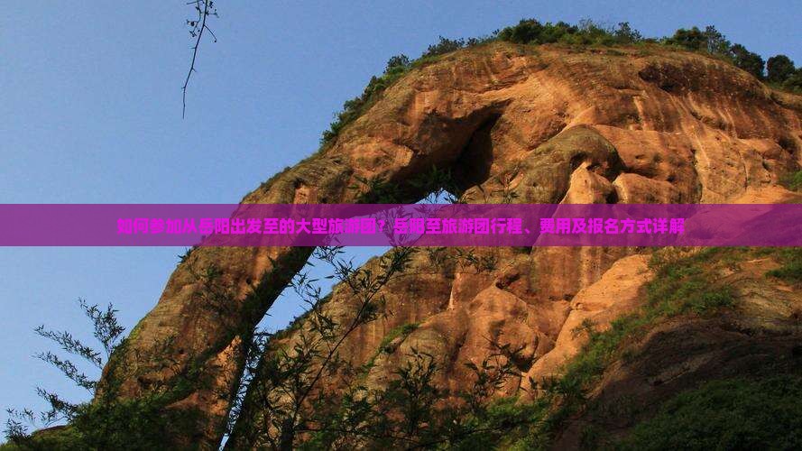 如何参加从岳阳出发至的大型旅游团？岳阳至旅游团行程、费用及报名方式详解