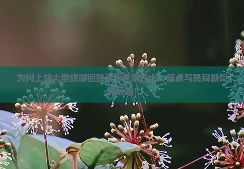 为何上饶大型旅游团热衷于色季拉山？痛点与热词新词背后的！