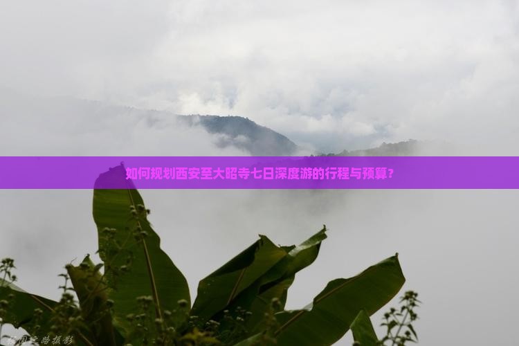 如何规划西安至大昭寺七日深度游的行程与预算？