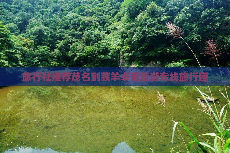 旅行社推荐茂名到藏羊卓雍旅游专线旅行团