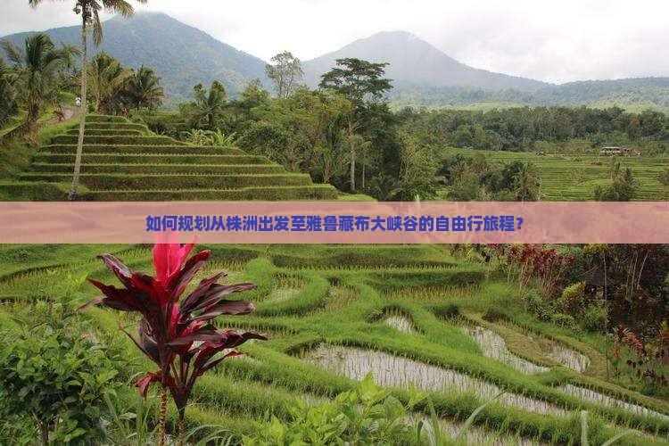 如何规划从株洲出发至雅鲁藏布大峡谷的自由行旅程？