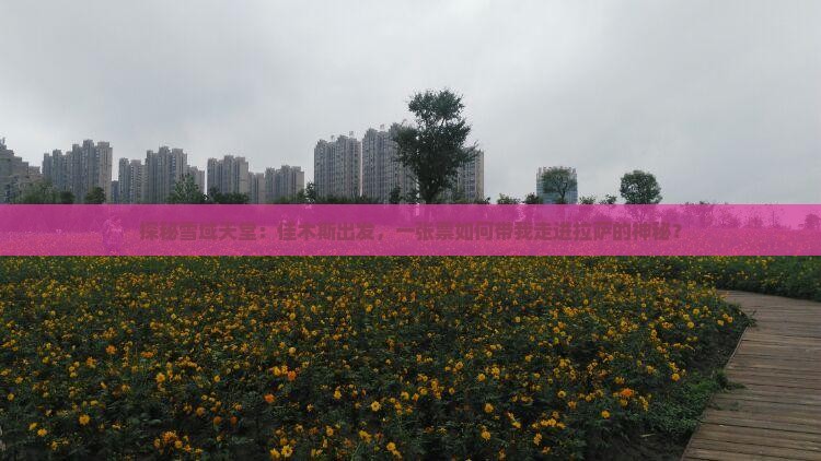 探秘雪域天堂：佳木斯出发，一张票如何带我走进拉萨的神秘？