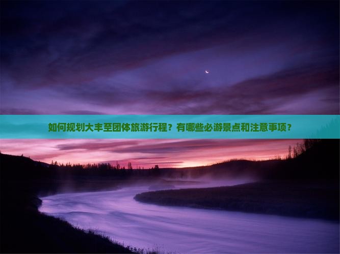 如何规划大丰至团体旅游行程？有哪些必游景点和注意事项？