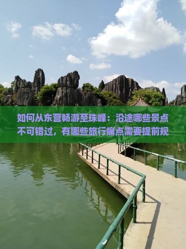 如何从东营畅游至珠峰：沿途哪些景点不可错过，有哪些旅行痛点需要提前规避？