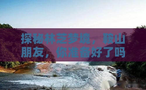 探秘林芝梦境，鞍山朋友，你准备好了吗？