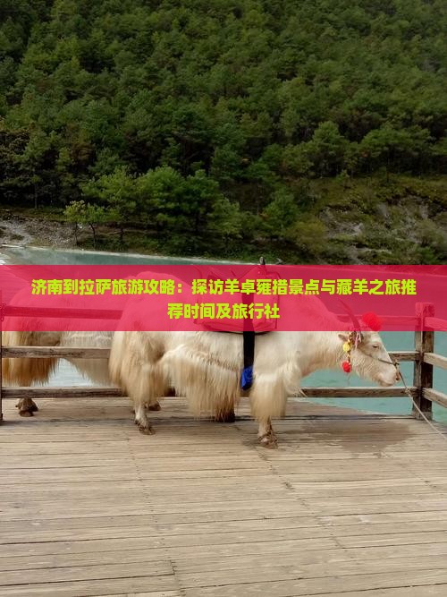 济南到拉萨旅游攻略：探访羊卓雍措景点与藏羊之旅推荐时间及旅行社