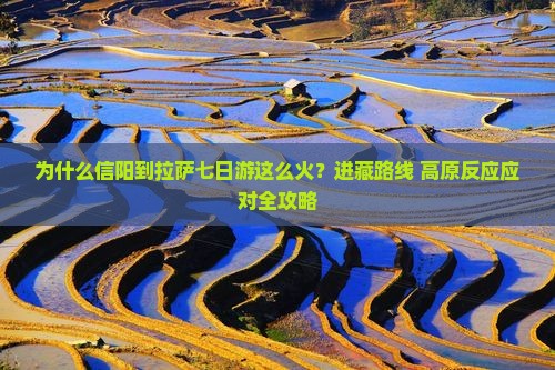 为什么信阳到拉萨七日游这么火？进藏路线+高原反应应对全攻略