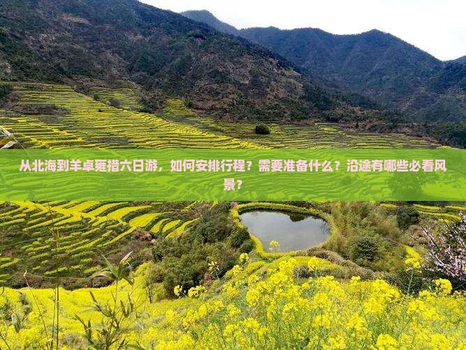 从北海到羊卓雍措六日游，如何安排行程？需要准备什么？沿途有哪些必看风景？