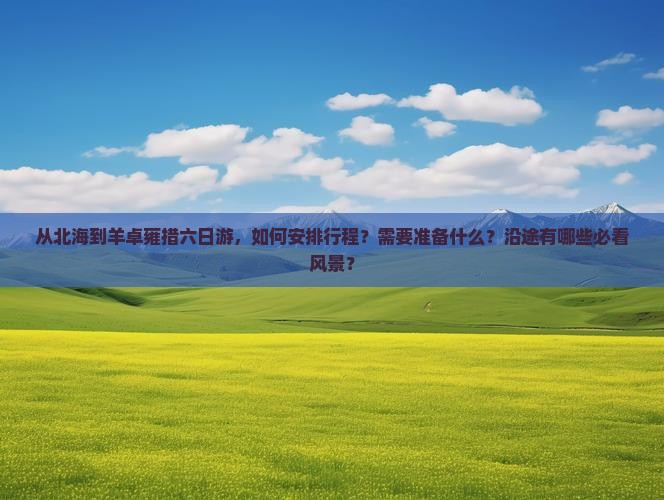 从北海到羊卓雍措六日游，如何安排行程？需要准备什么？沿途有哪些必看风景？