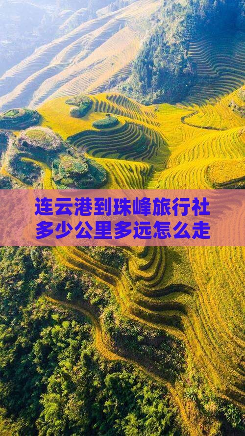 连云港到珠峰旅行社多少公里多远怎么走