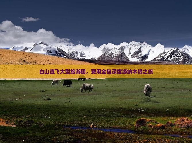 白山直飞大型旅游团，费用全包深度游纳木措之旅