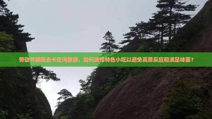 劳动节期间去卡定沟旅游，如何选择特色小吃以避免高原反应和满足味蕾？