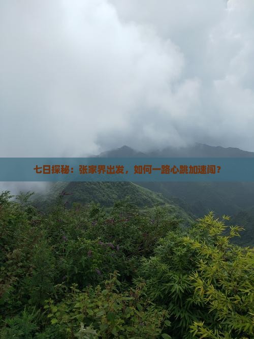 七日探秘：张家界出发，如何一路心跳加速闯？
