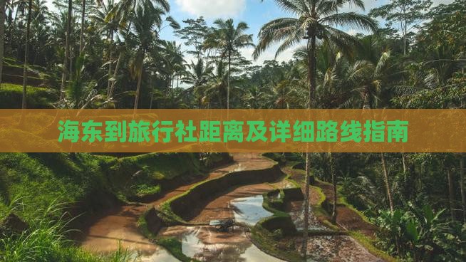 海东到旅行社距离及详细路线指南