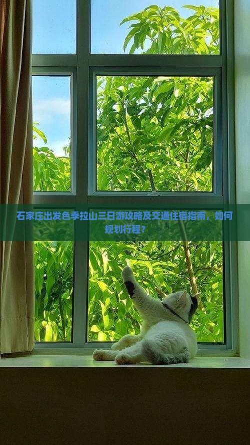 石家庄出发色季拉山三日游攻略及交通住宿指南，如何规划行程？