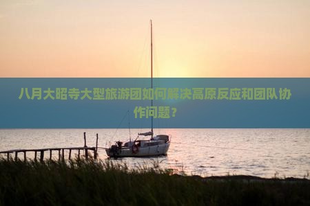 八月大昭寺大型旅游团如何解决高原反应和团队协作问题？