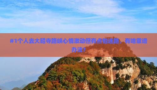 #1个人去大昭寺路峡心情激动但有点怕迷路，有啥靠谱办法？
