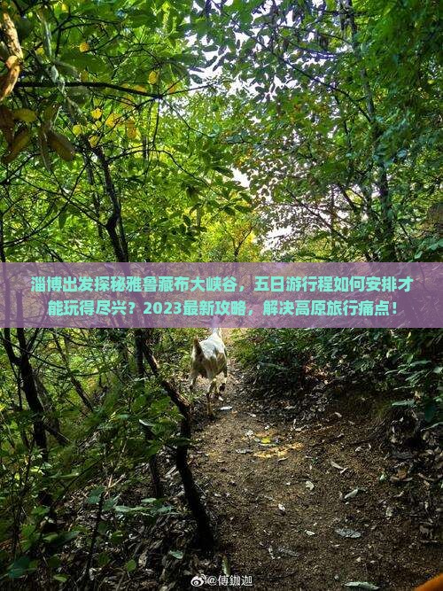 淄博出发探秘雅鲁藏布大峡谷，五日游行程如何安排才能玩得尽兴？2023最新攻略，解决高原旅行痛点！