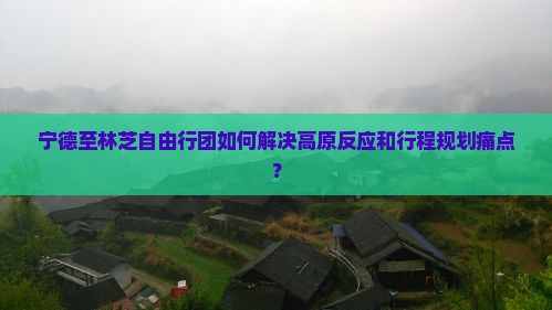宁德至林芝自由行团如何解决高原反应和行程规划痛点？