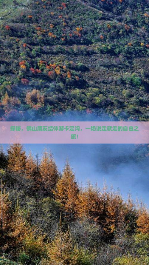 探秘，佛山朋友结伴游卡定沟，一场说走就走的自由之旅！