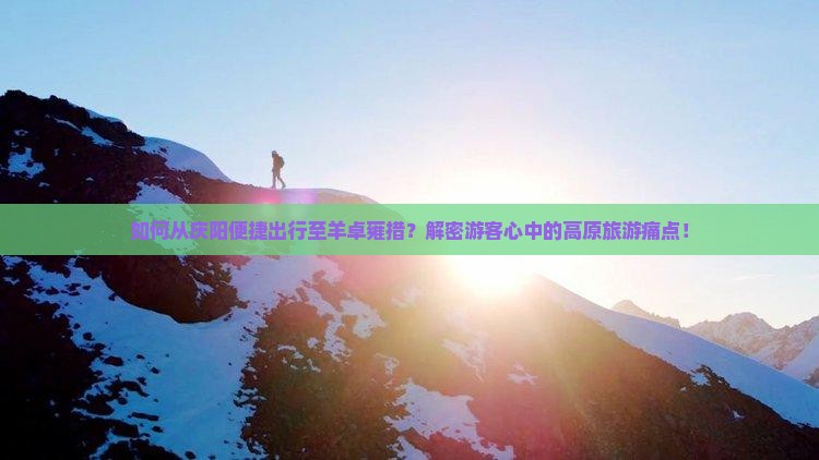 如何从庆阳便捷出行至羊卓雍措？解密游客心中的高原旅游痛点！