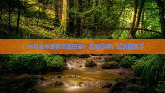 ？十月去羊卓雍措四日游？高能行吗？纯玩团来了