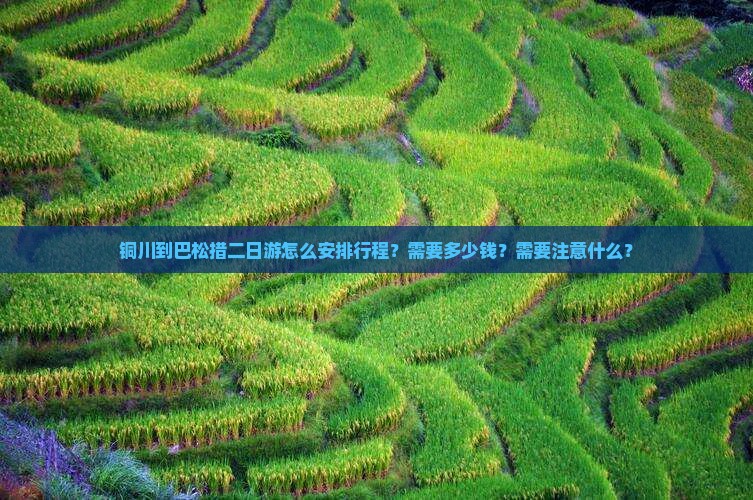 铜川到巴松措二日游怎么安排行程？需要多少钱？需要注意什么？